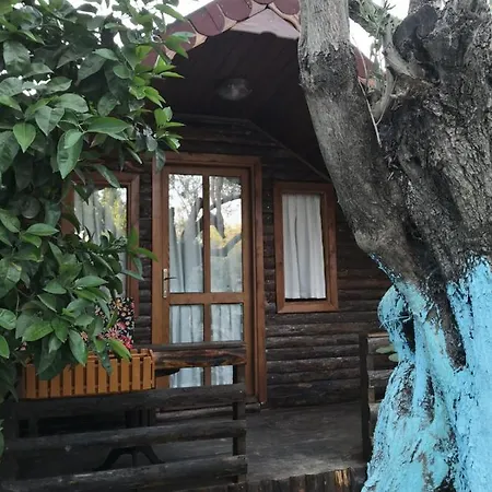 Hotel Zeytindagi *