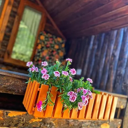 Hotel Zeytindagi