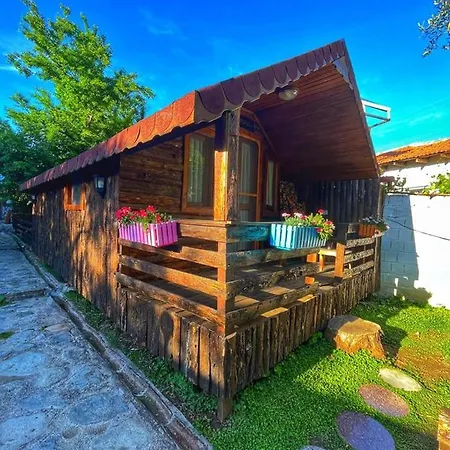 Zeytindağı * Mehmetalani