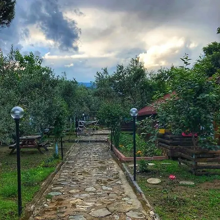 Otel Zeytindağı Mehmetalani