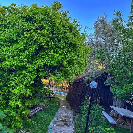 Zeytindağı Otel Mehmetalani