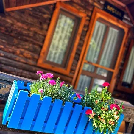 Zeytindağı Otel Mehmetalani