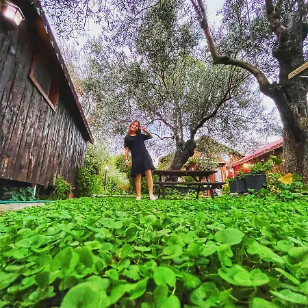 Zeytindağı Otel Mehmetalani