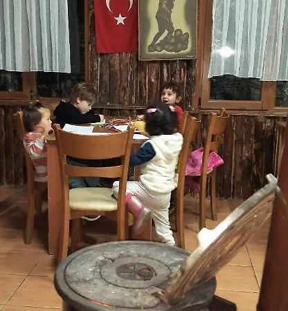 Zeytindagi *