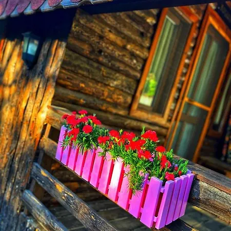 Zeytindağı Mehmetalani