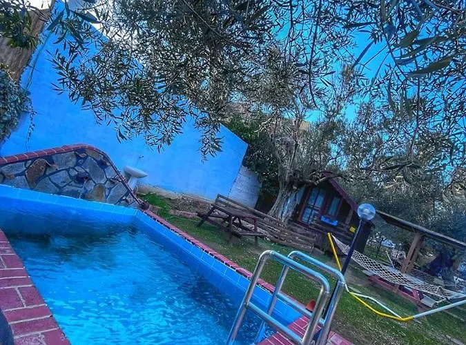 Zeytindagi * Mehmetalani