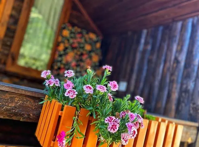 ホテル Zeytindagi