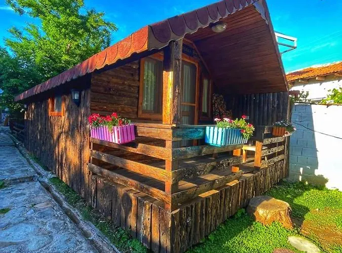 Zeytindagi * Mehmetalani