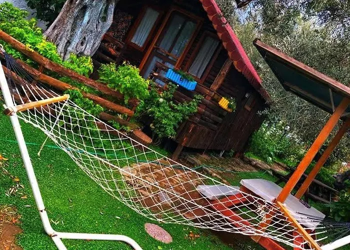 Zeytindagi ホテル