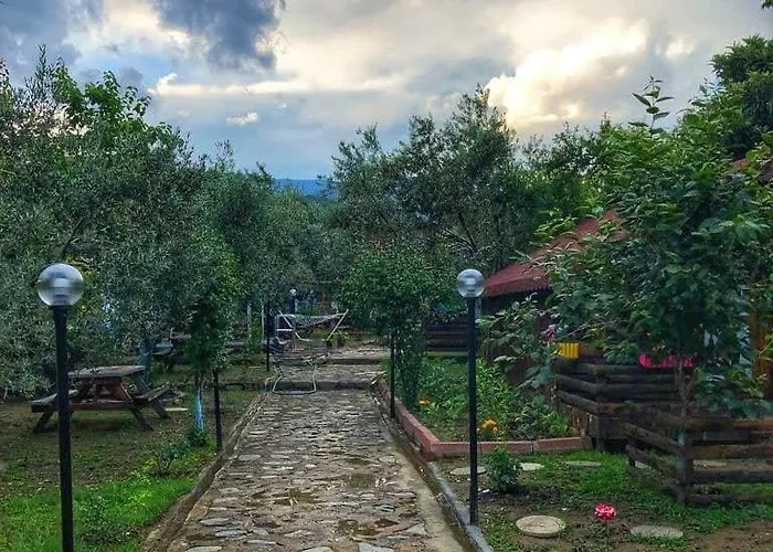 ホテル Zeytindagi Mehmetalani