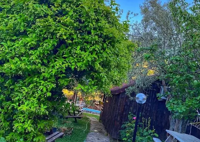 Zeytindagi ホテル Mehmetalani