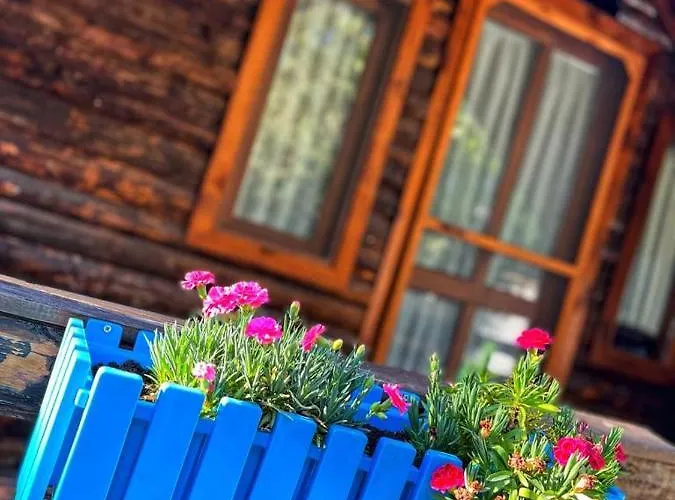 Zeytindagi ホテル Mehmetalani