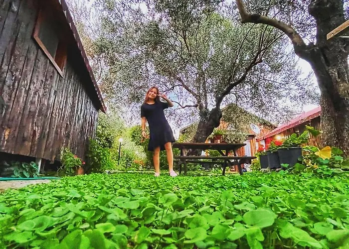 Zeytindagi ホテル Mehmetalani