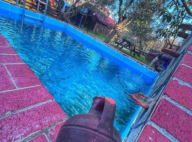 Zeytindagi * Mehmetalani