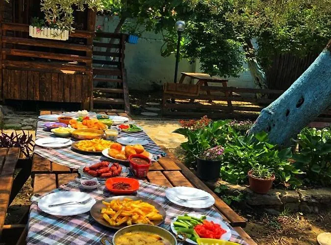 Zeytindagi Mehmetalani